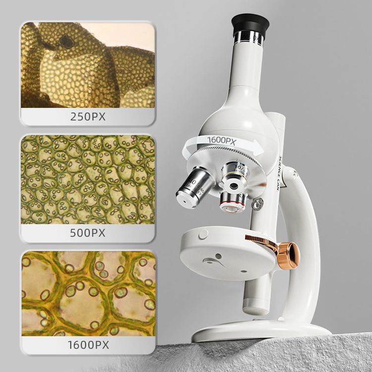 Hape - Microscope Lab Edition - STEM