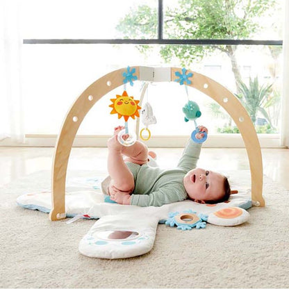 Hape - Snuggle Bear Activity Gym - Infants
