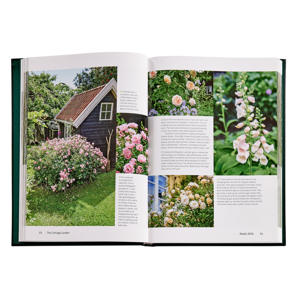 Graphic Image - The Cottage Garden Book Leather Edition - Books