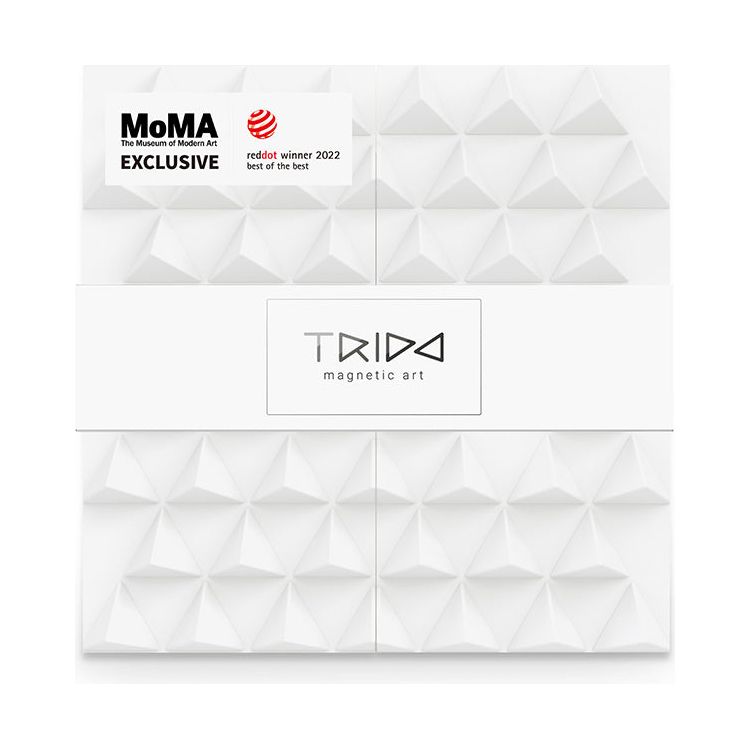 Trido - Trido Monochromatic Large Magnet Building Set - 36 Pieces - Preschool
