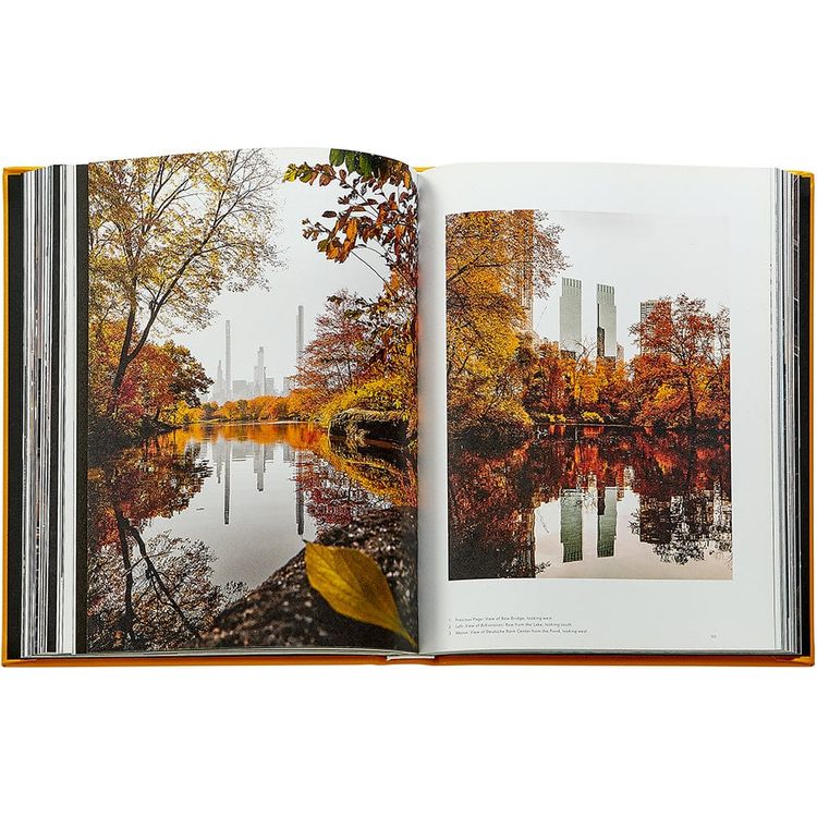Graphic Image - Trope New York Book Leather Edition - Books