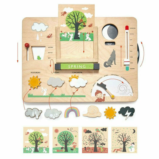 Tender Leaf Toys - Weather watch - Preschool