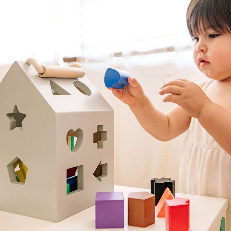 Wonder & Wise - Wooden Shape Sorter - Preschool