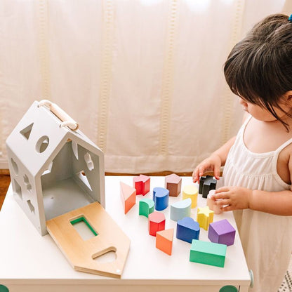 Wonder & Wise - Wooden Shape Sorter - Preschool